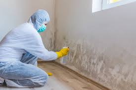 Best Crawl Space Mold Remediation  in Gardiner, ME