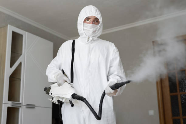 Best Environmental Consulting for Mold Prevention  in Gardiner, ME